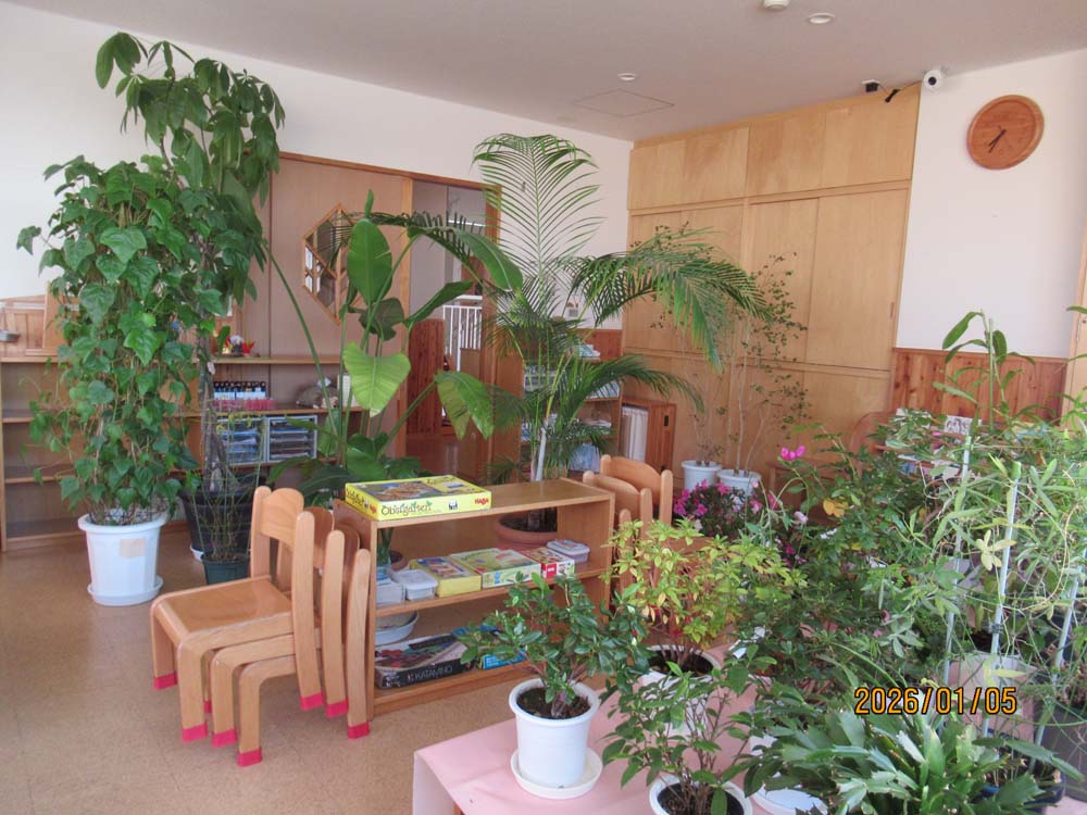 冬のジャングル