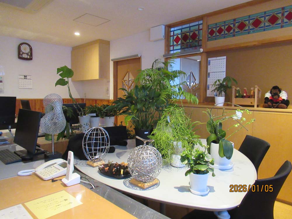 冬のジャングル